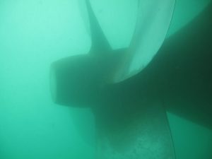 Inspection avec prise de photos sous-marines de la coque d’un cargo de 225 m au port de Brest